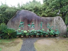 -荷塘月色湿地公园·向阳花洲