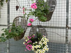 -凤来栖·净庭院·火锅(欧尚店)