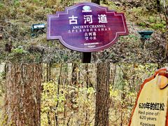 -汤旺河林海奇石景区