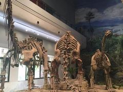 -自贡恐龙博物馆