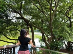 -南国桃园旅游度假区