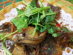 香辣脆炸禾花鲤-西江河鲜·趣苑酒楼(鼎湖店)