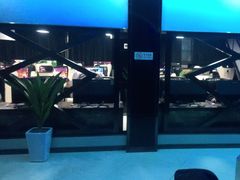 -绿树电竞(五路店)