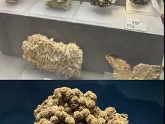 -贵州省地质博物馆
