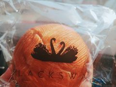 -BLACKSWAN黑天鹅(环球店)
