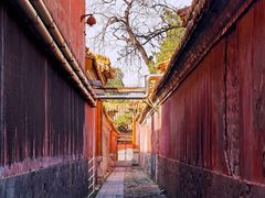 -故宫博物院(故宫)