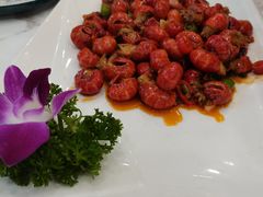 -老苏扬饭店