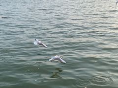 -蠡湖大桥公园