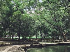 -兰亭风景区