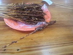 -十里铺铁板鱿鱼