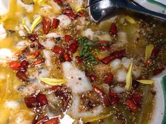 撒椒酸菜鱼-撒椒·四川江湖菜(大族广场店)