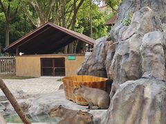 -上海野生动物园