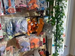 -中农大我爱我爱24h动物医院·中医针灸·猫专科·骨科医疗中心(双井店)