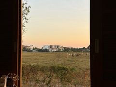 -Chom Cafe and Restaurant