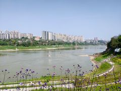 -石井坡(地铁站)