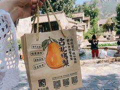-古北烤梨