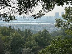 -岳麓山风景名胜区