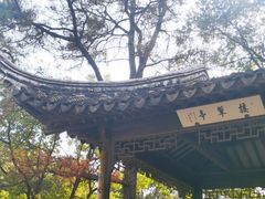 -灵岩山风景区