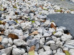 -不觉晓CAMPING(上海迪士尼营地店)