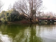 -上海滨江森林公园