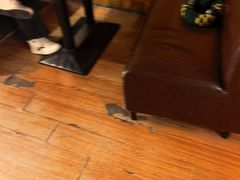 -伯爵·沉浸式超级密室·直营店