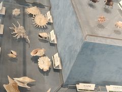 -浙江自然博物院(杭州馆)