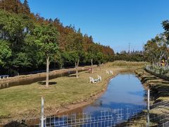 -上海长兴岛郊野公园