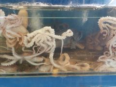 -滨海小渔村·海肠捞饭·鲅鱼水饺·特色老火鱼丸汤(华田店)