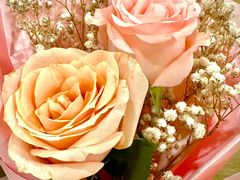 -美喇月子中心(南沙进港店)