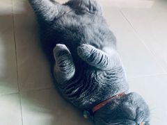 -KKV(深圳宏发大仟里店)