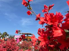 -瑞安圣井山景区