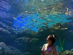 -华夏文旅海洋公园