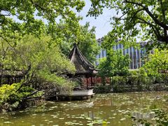-上海醉白池公园