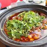 鳝鱼丝丝哦买噶