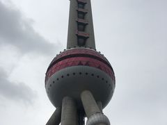 -东方明珠国际旅行社有限公司