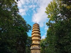 -灵谷景区