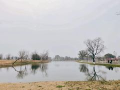 -良渚古城遗址公园