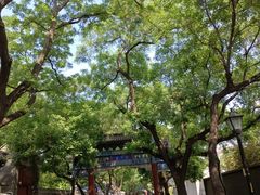 -北京国子监胡同