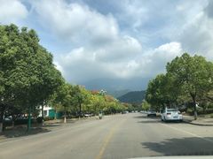 -宜城私房菜.臭鳜鱼(九华新街店)