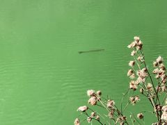 -桑干河大峡谷旅游区