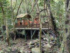 -七仙岭温泉国家森林公园