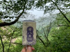 -洛阳白云山景区