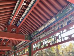 -迎泽公园