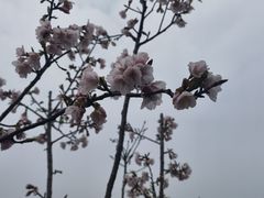 -艾溪湖湿地公园
