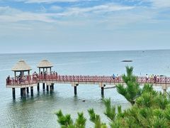 -养马岛旅游度假区
