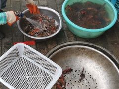 -盱眙虾怪·旗舰店