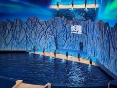 -珠海长隆海洋王国