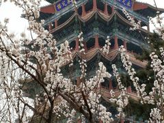 -门城湖公园