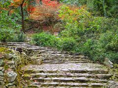 -仙霞关景区
