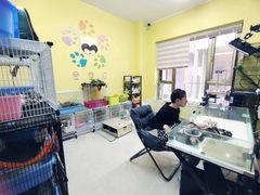 -爱雪貂安哥鲁宠物貂专卖店(天通苑店)